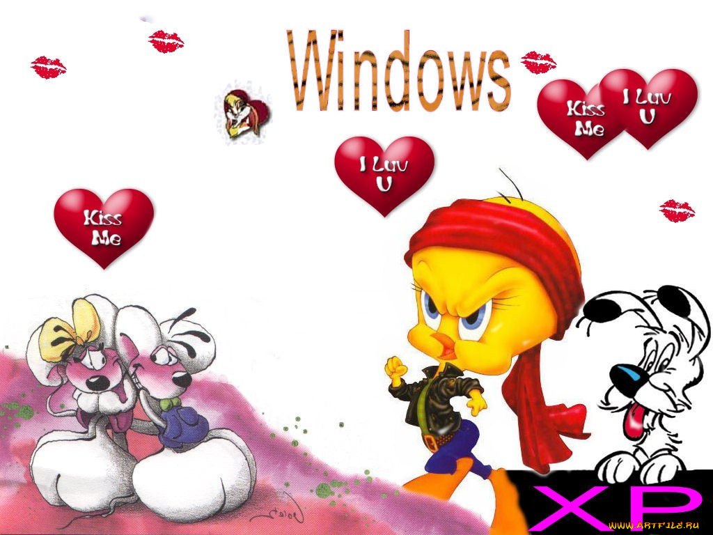 , windows, xp